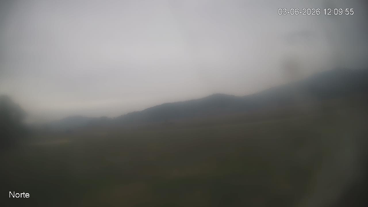 NVR_ch1_20260603120955_T.jpg