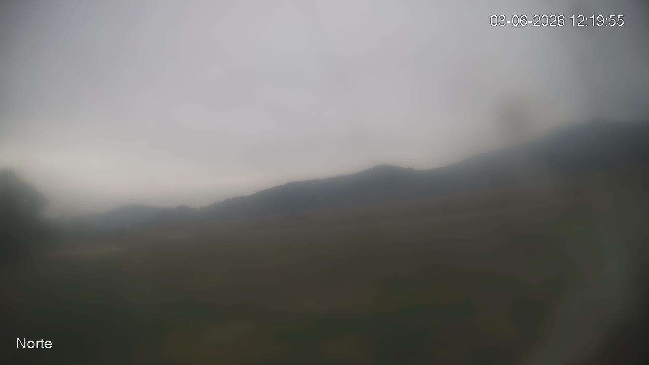 NVR_ch1_20260603121955_T.jpg