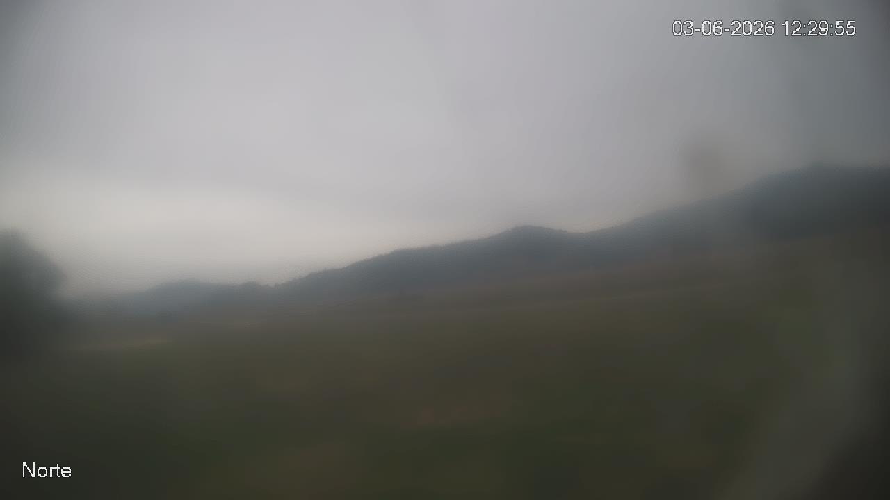 NVR_ch1_20260603122955_T.jpg