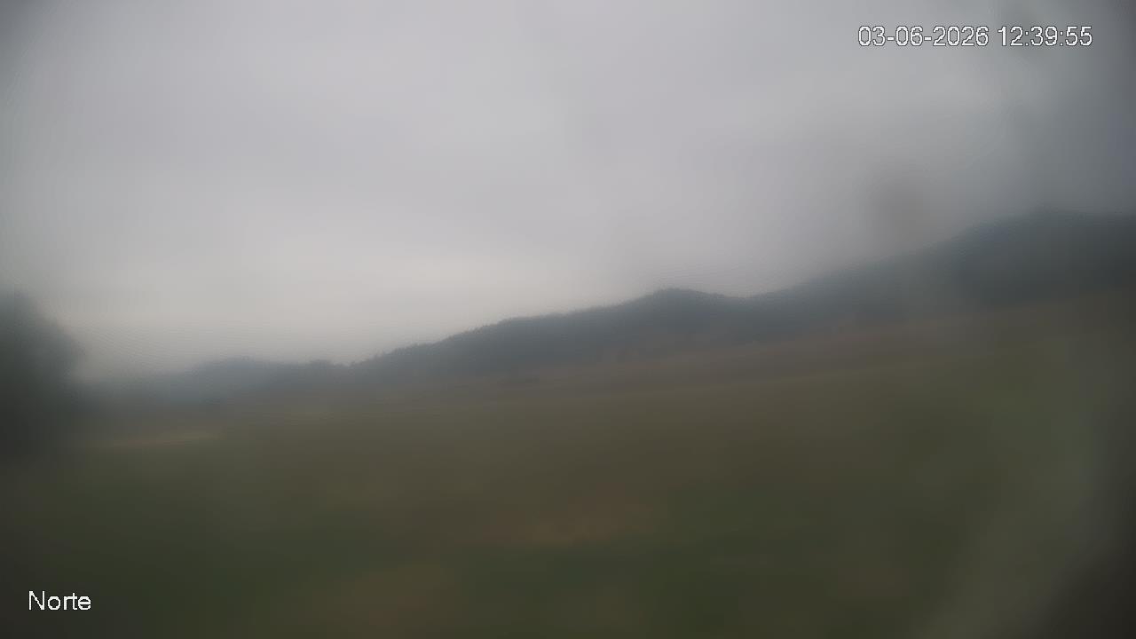 NVR_ch1_20260603123955_T.jpg