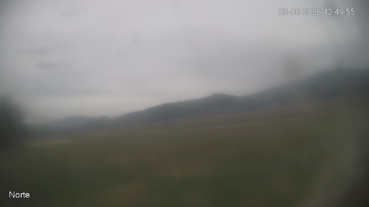 NVR_ch1_20260603124955_T.jpg