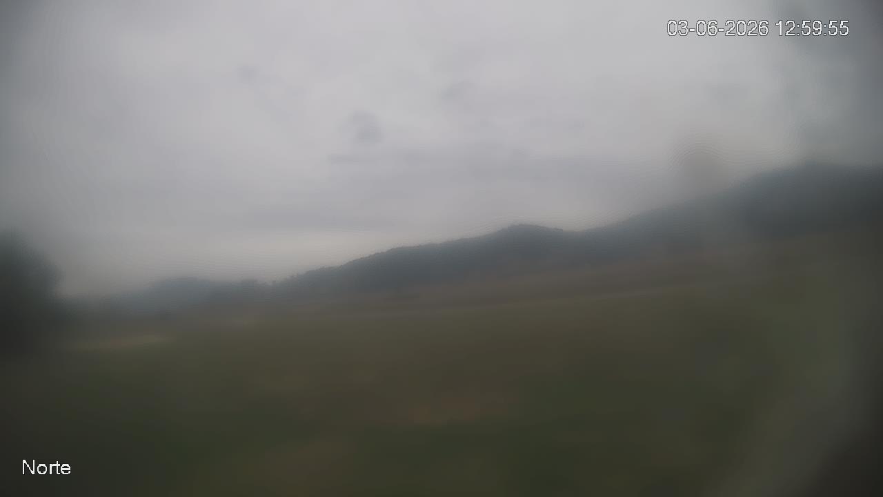 NVR_ch1_20260603125955_T.jpg