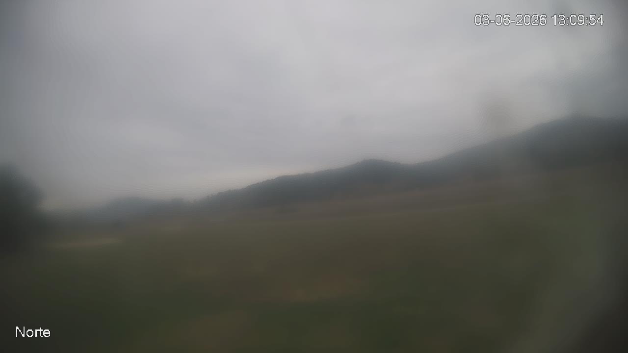 NVR_ch1_20260603130956_T.jpg
