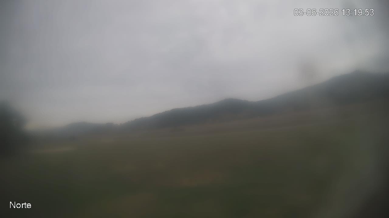 NVR_ch1_20260603131954_T.jpg
