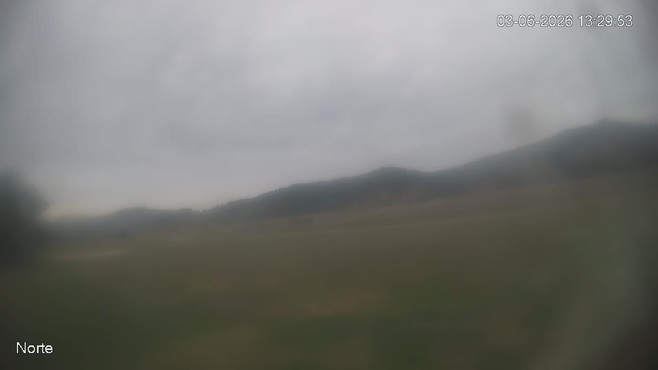 NVR_ch1_20260603132955_T.jpg