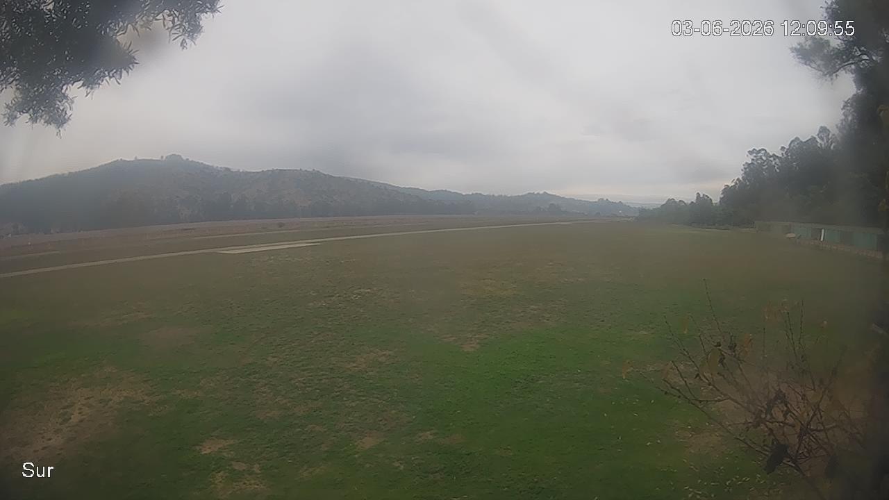 NVR_ch2_20260603120955_T.jpg
