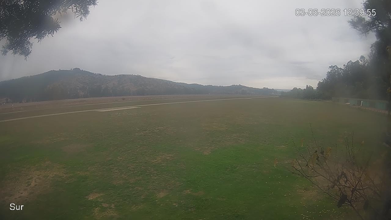 NVR_ch2_20260603123955_T.jpg