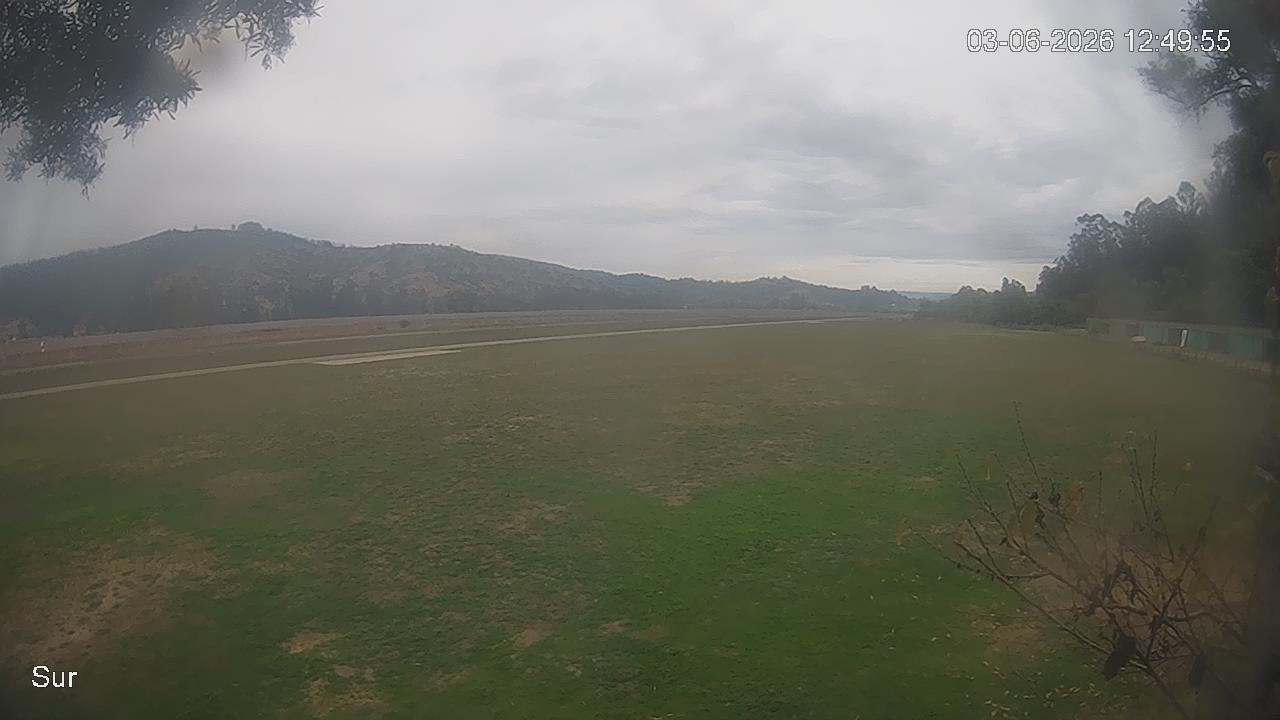 NVR_ch2_20260603124955_T.jpg