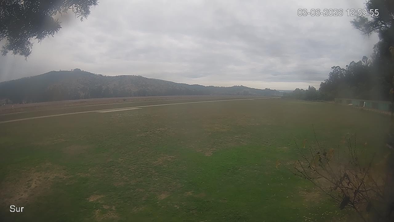 NVR_ch2_20260603125955_T.jpg