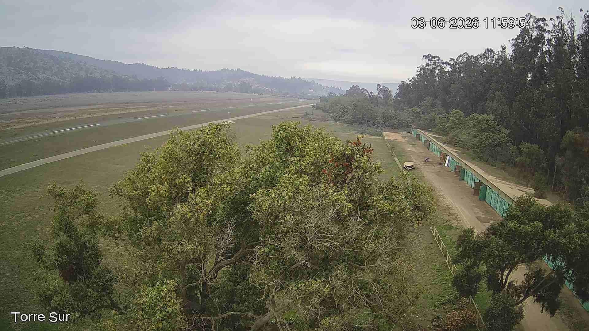 NVR_ch3_20260603115955_T.jpg