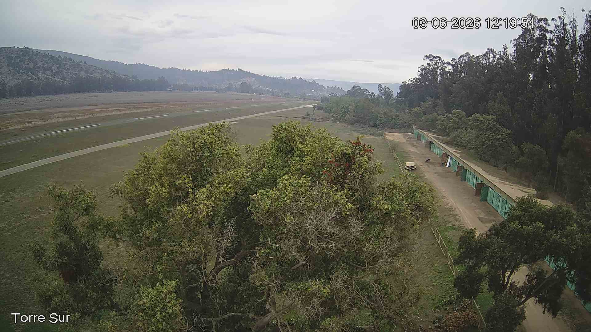 NVR_ch3_20260603121955_T.jpg