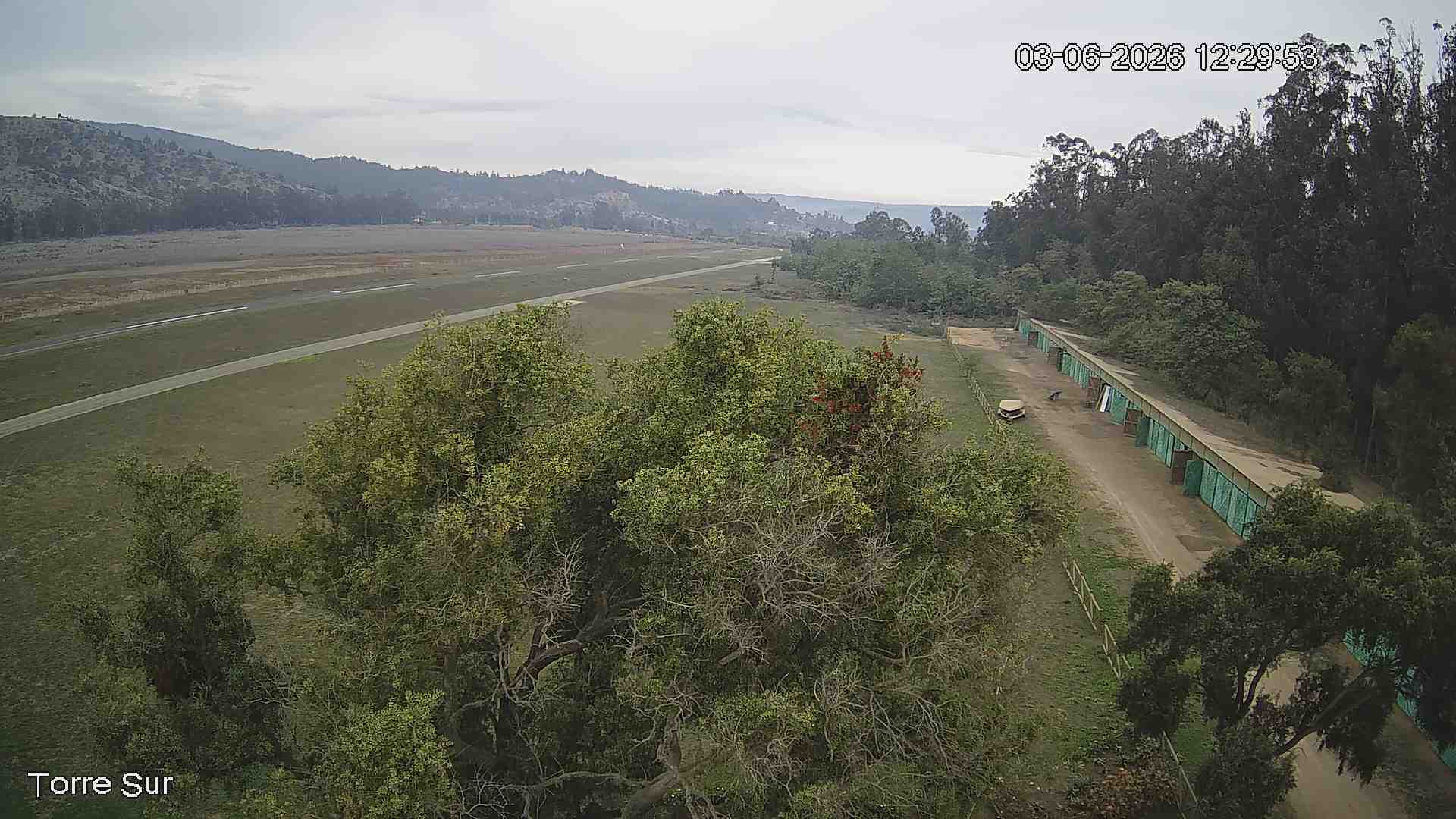 NVR_ch3_20260603122954_T.jpg