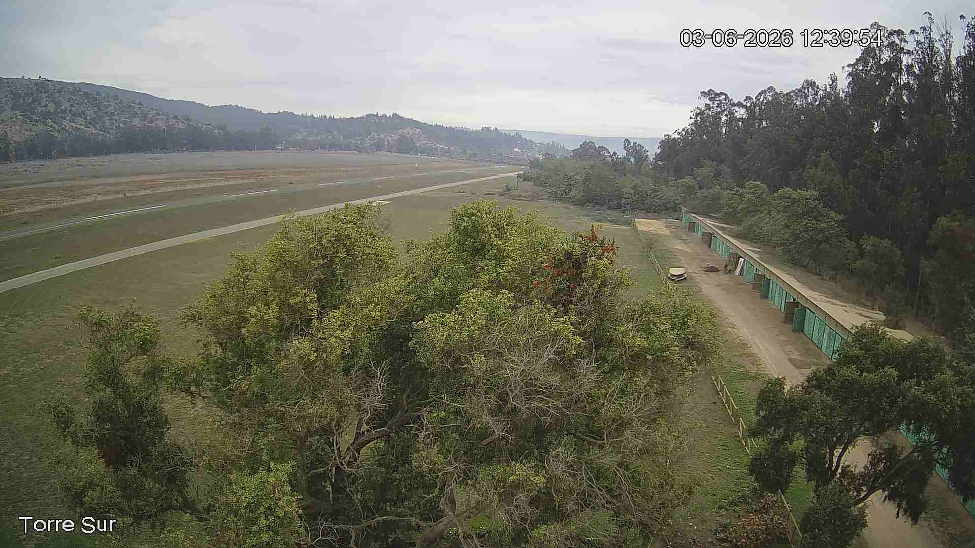 NVR_ch3_20260603123955_T.jpg