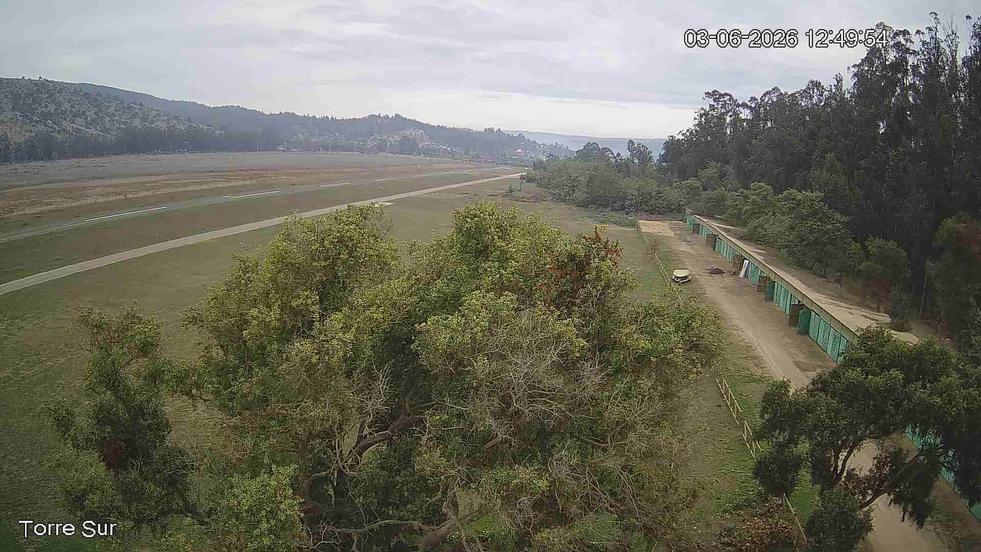 NVR_ch3_20260603124955_T.jpg