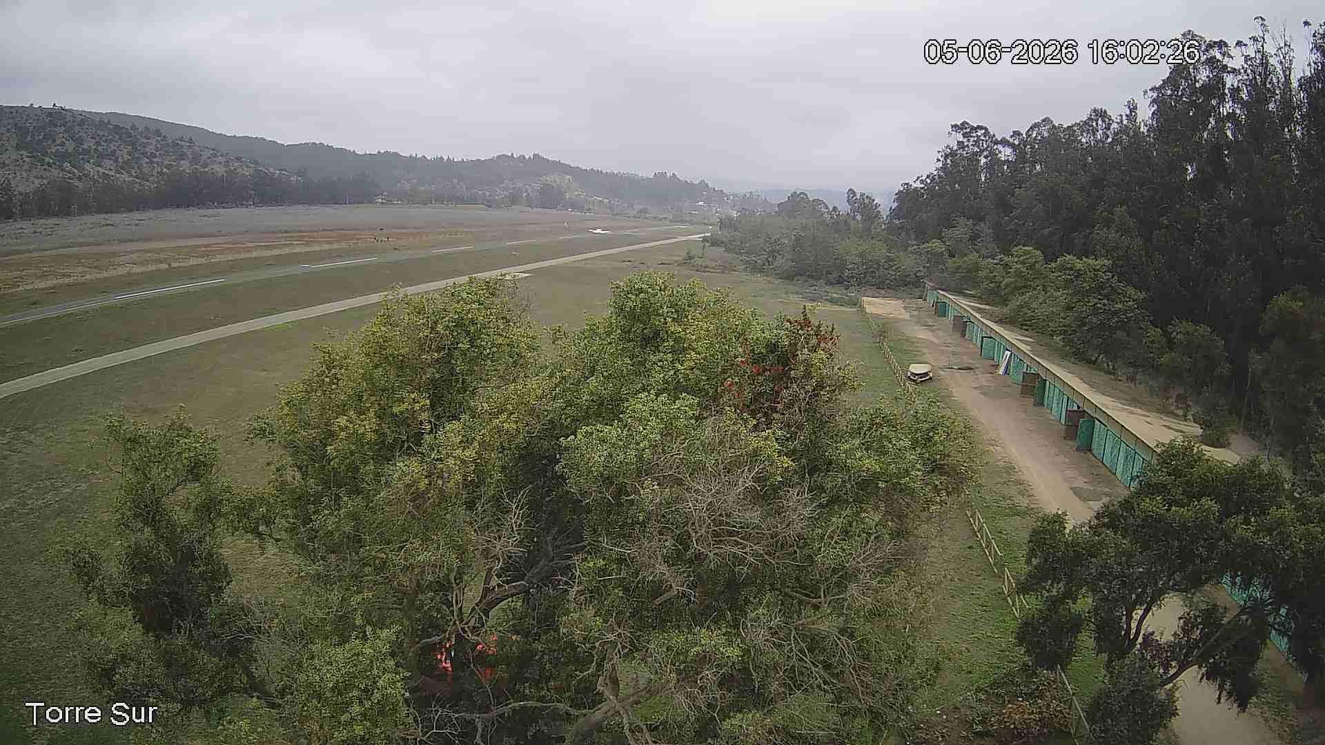 NVR_ch3_20260605160227_T.jpg