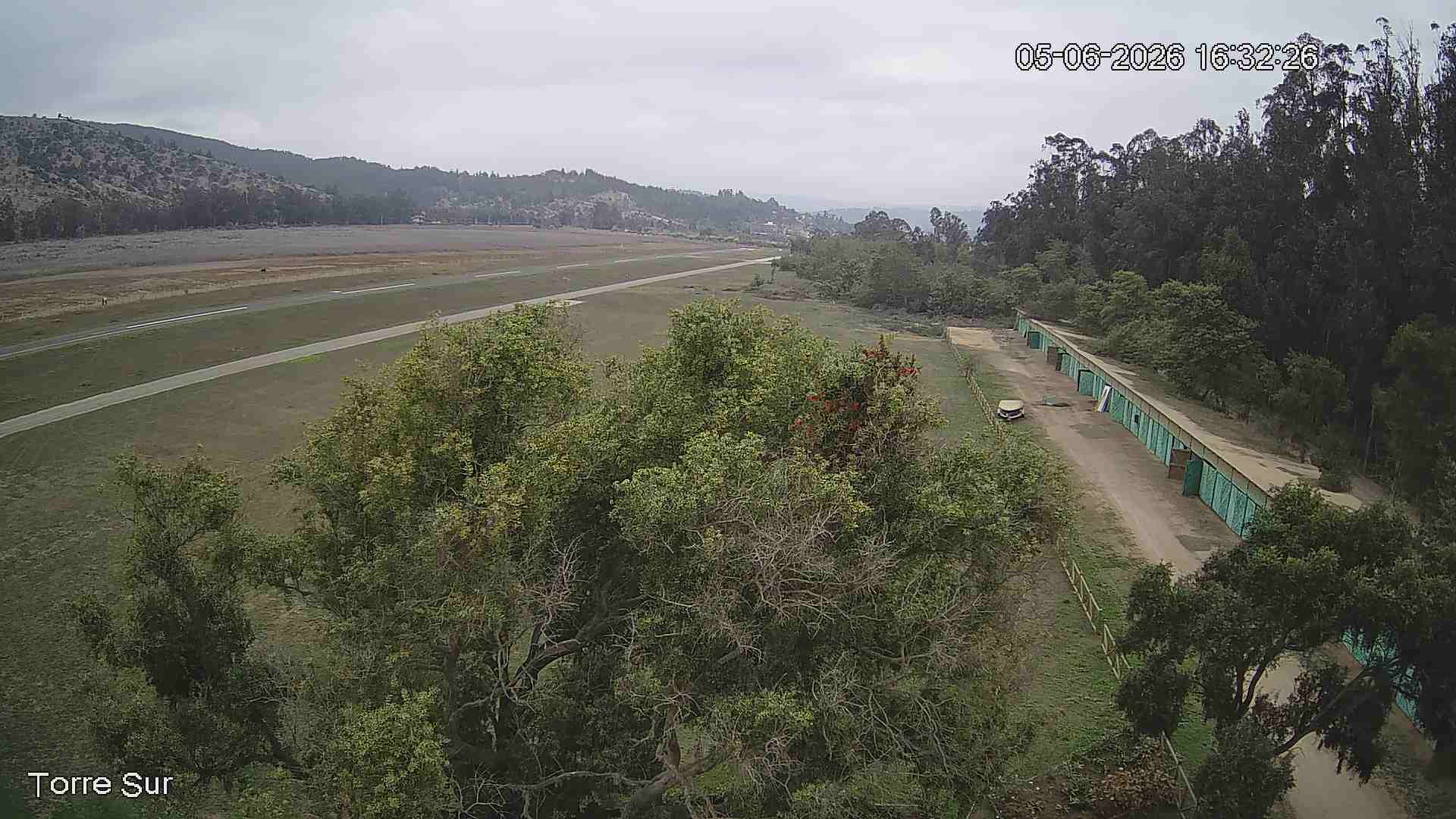 NVR_ch3_20260605163226_T.jpg
