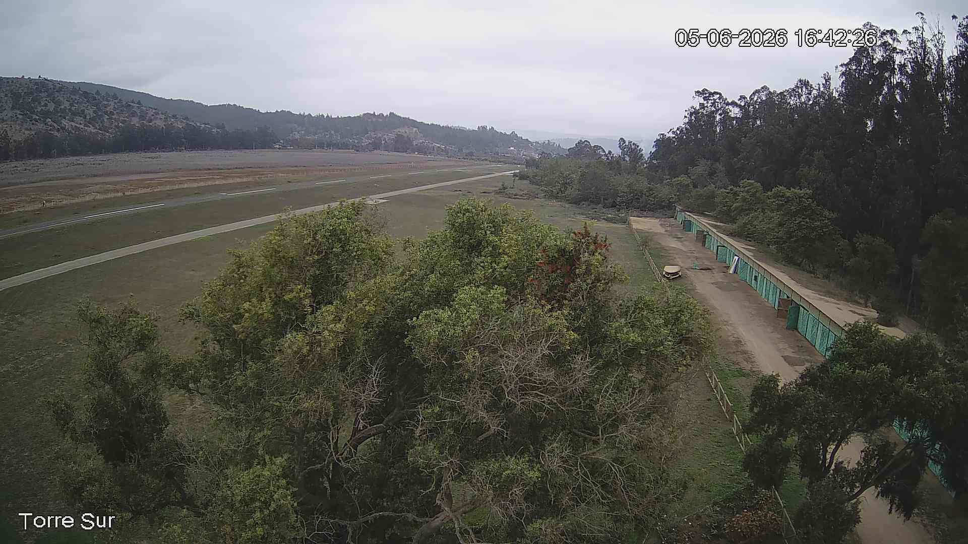 NVR_ch3_20260605164227_T.jpg
