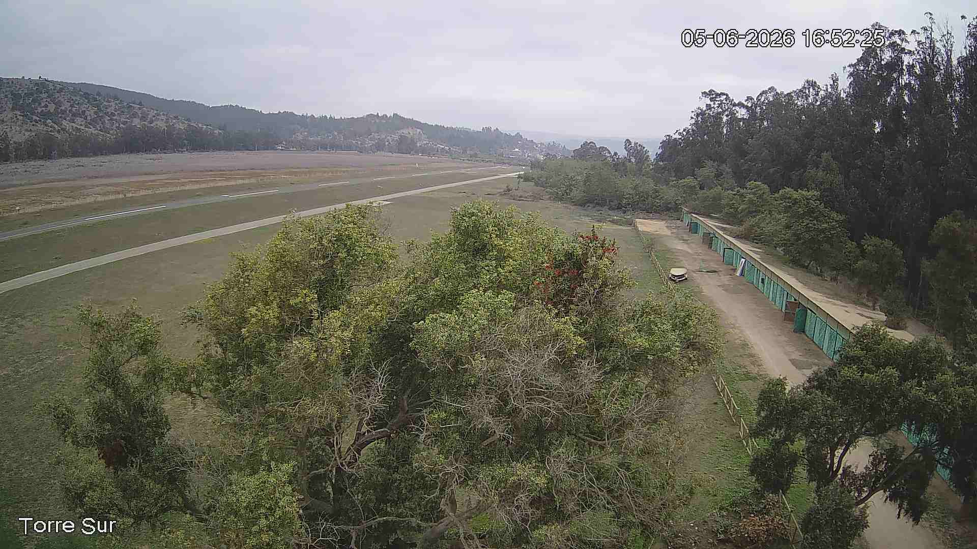 NVR_ch3_20260605165226_T.jpg