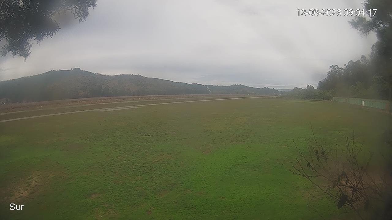 NVR_ch2_20260612090417_T.jpg