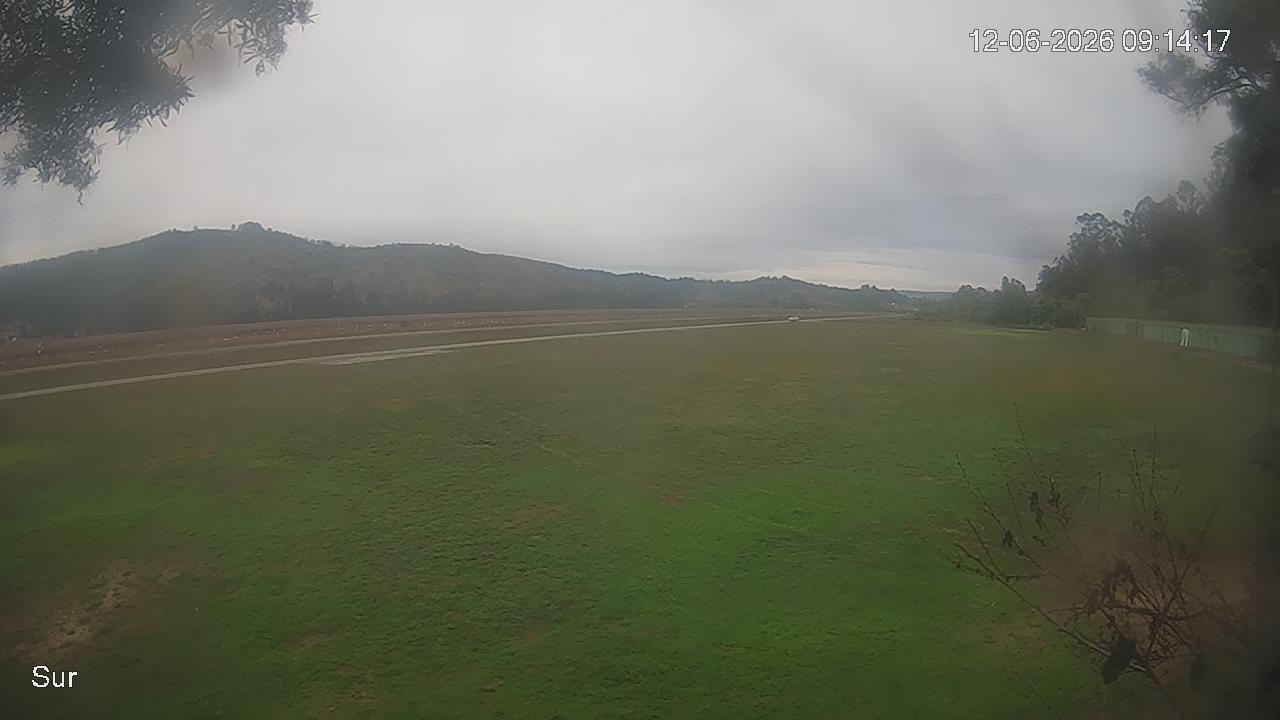 NVR_ch2_20260612091417_T.jpg
