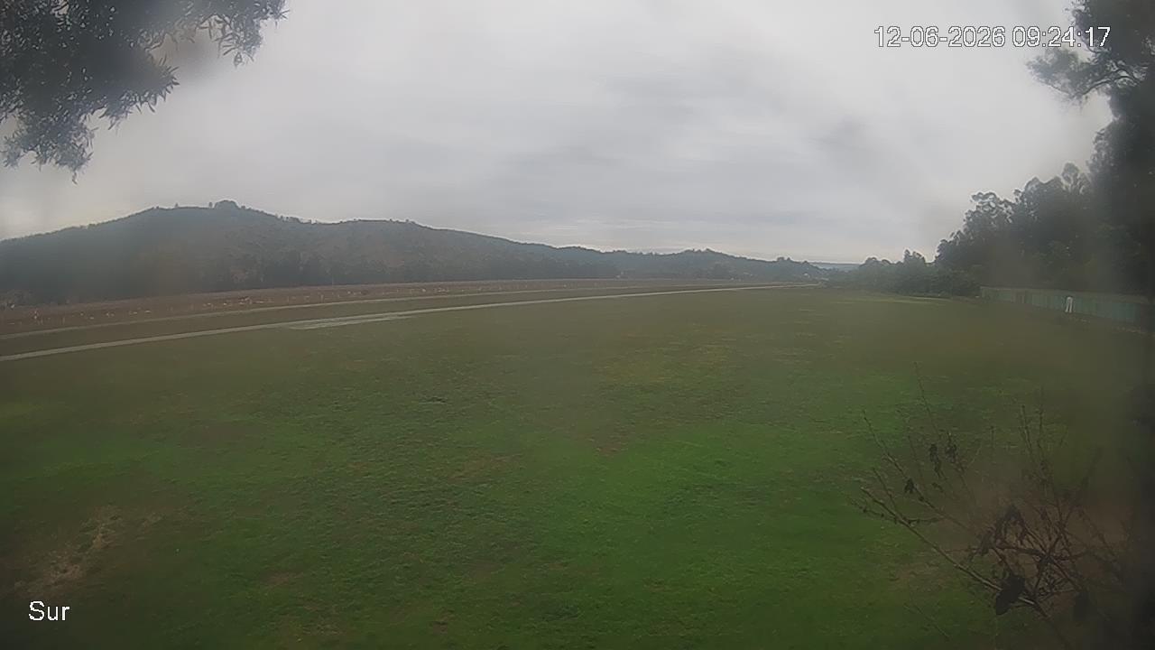 NVR_ch2_20260612092417_T.jpg