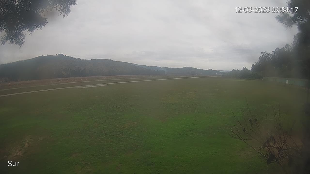 NVR_ch2_20260612095417_T.jpg