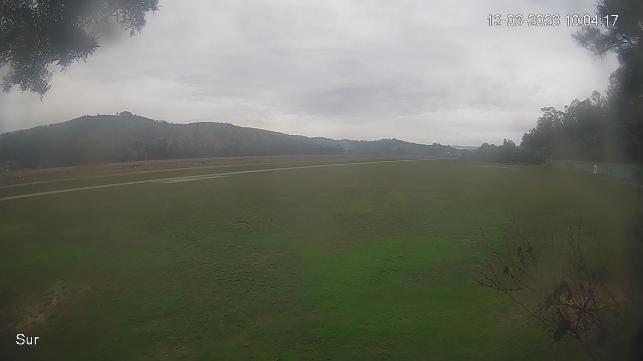 NVR_ch2_20260612100417_T.jpg