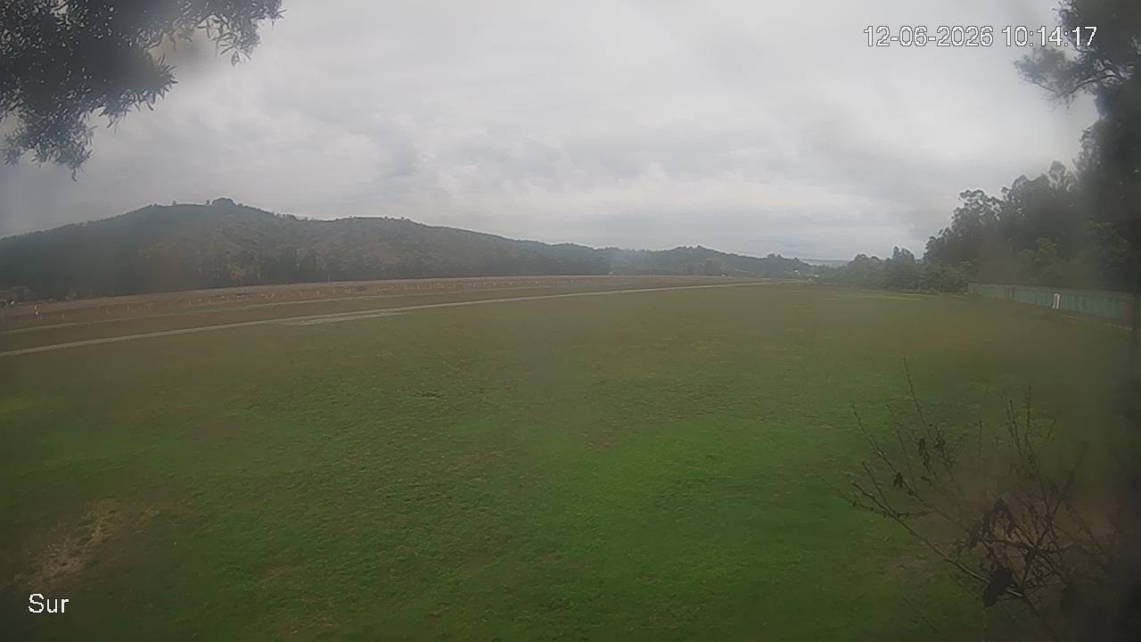 NVR_ch2_20260612101417_T.jpg