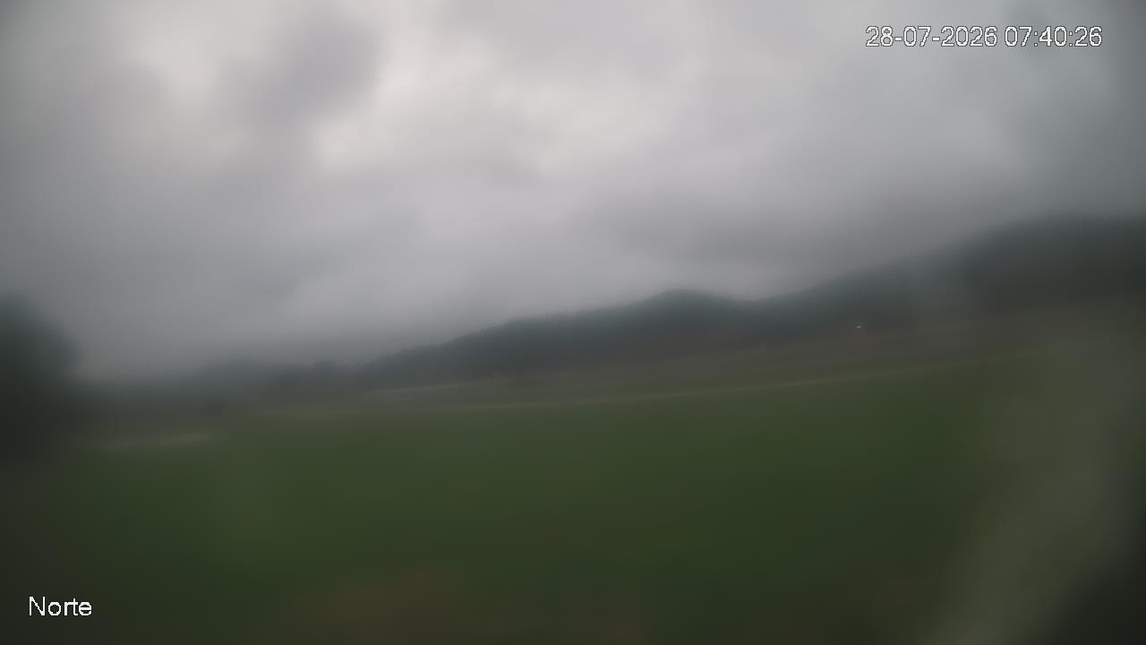 NVR_ch1_20260728074027_T.jpg