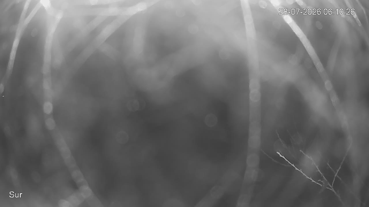 NVR_ch2_20260728061027_T.jpg