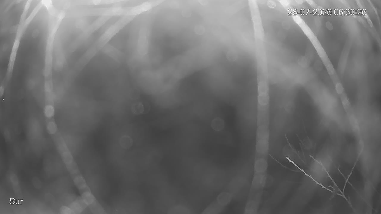 NVR_ch2_20260728063027_T.jpg
