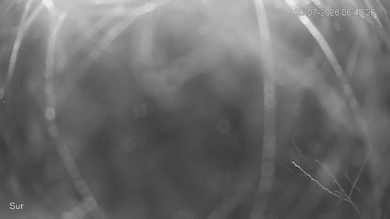 NVR_ch2_20260728064027_T.jpg