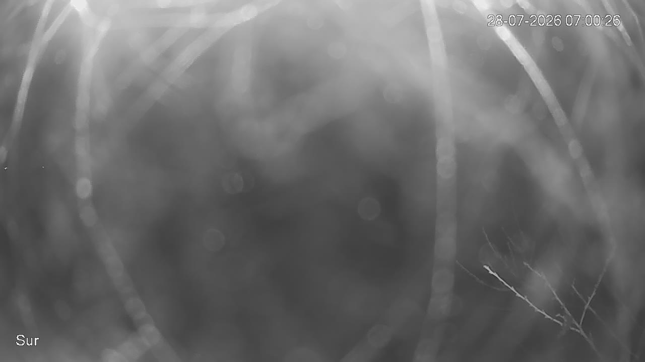NVR_ch2_20260728070027_T.jpg