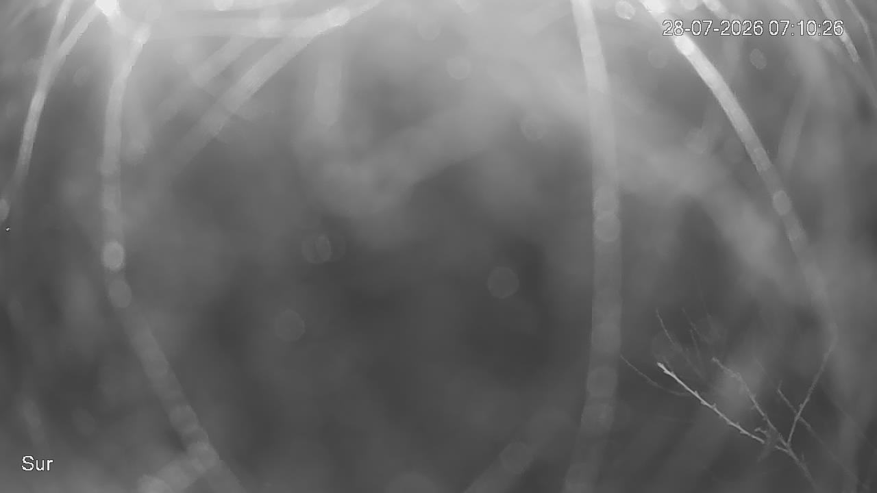 NVR_ch2_20260728071027_T.jpg