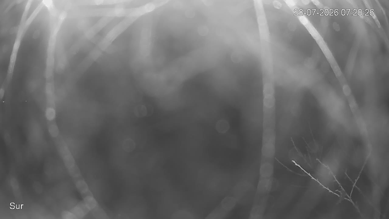 NVR_ch2_20260728072027_T.jpg