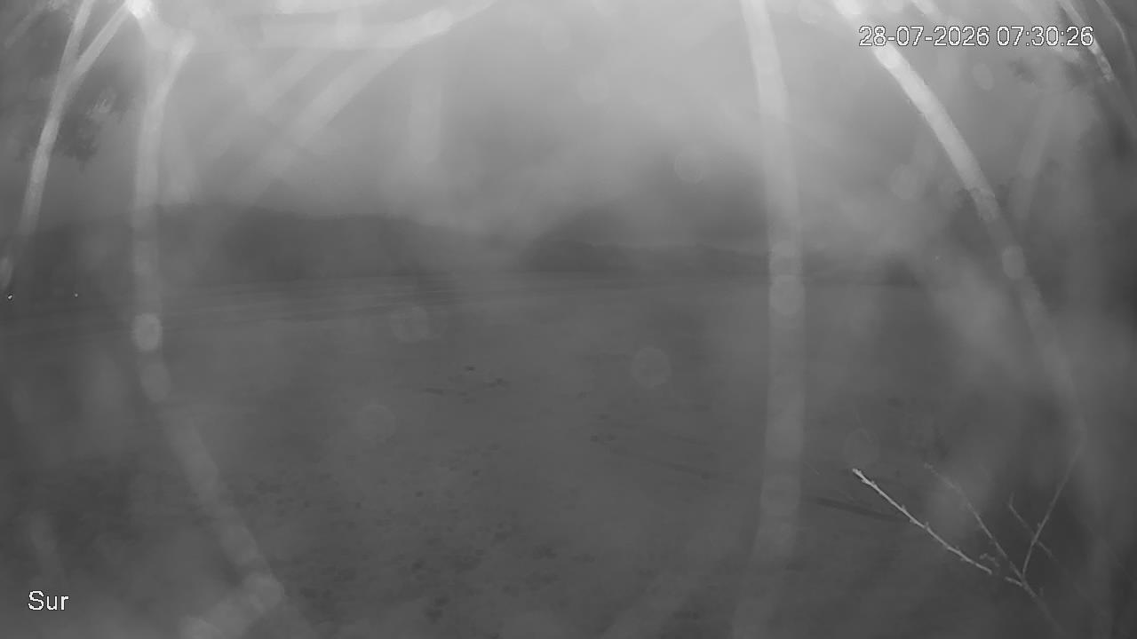 NVR_ch2_20260728073027_T.jpg