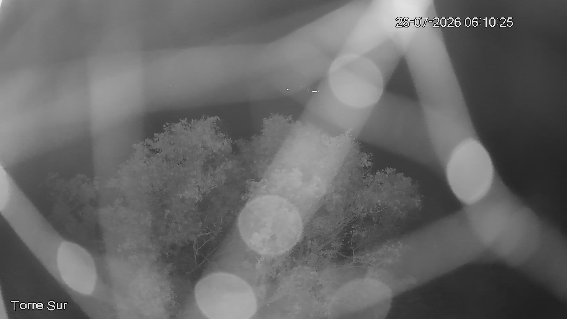 NVR_ch3_20260728061026_T.jpg