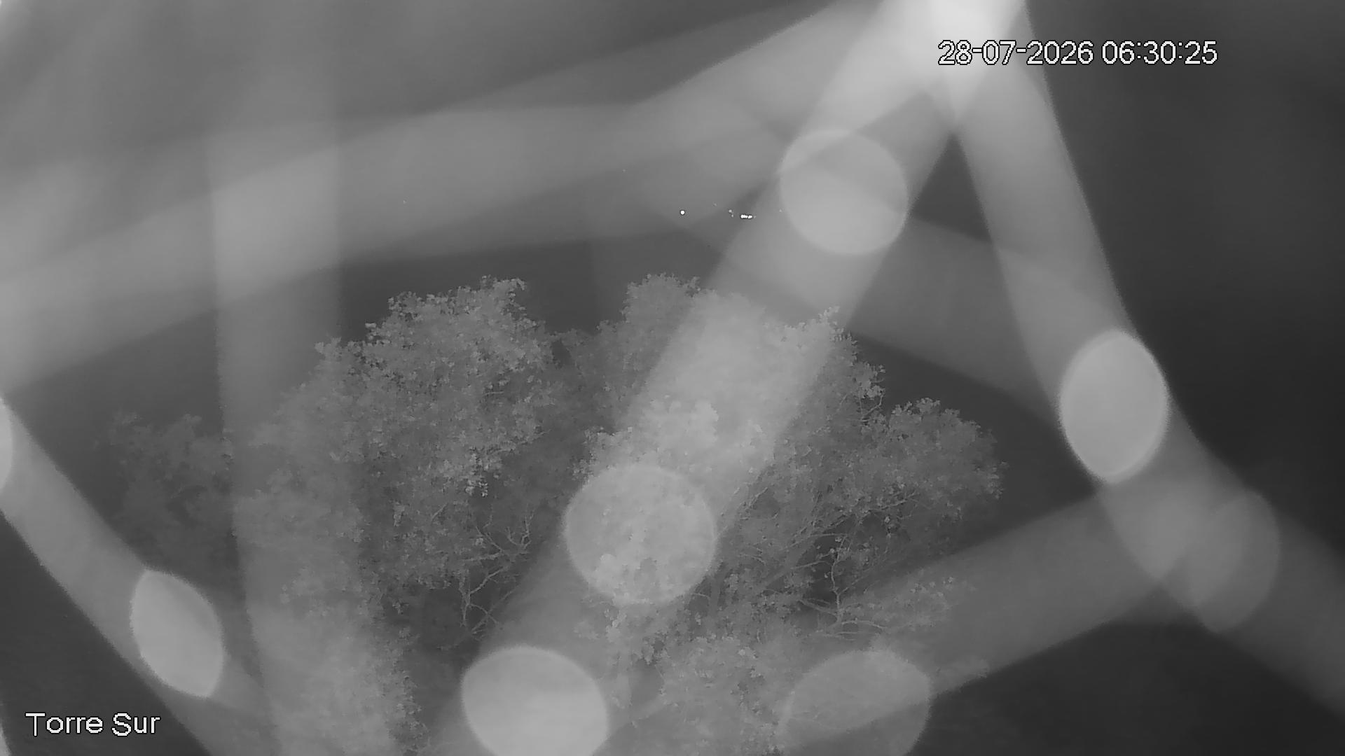 NVR_ch3_20260728063026_T.jpg