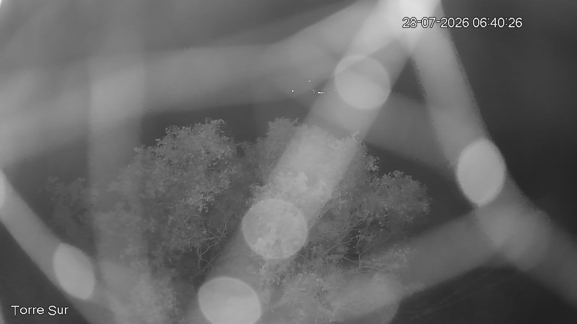NVR_ch3_20260728064027_T.jpg