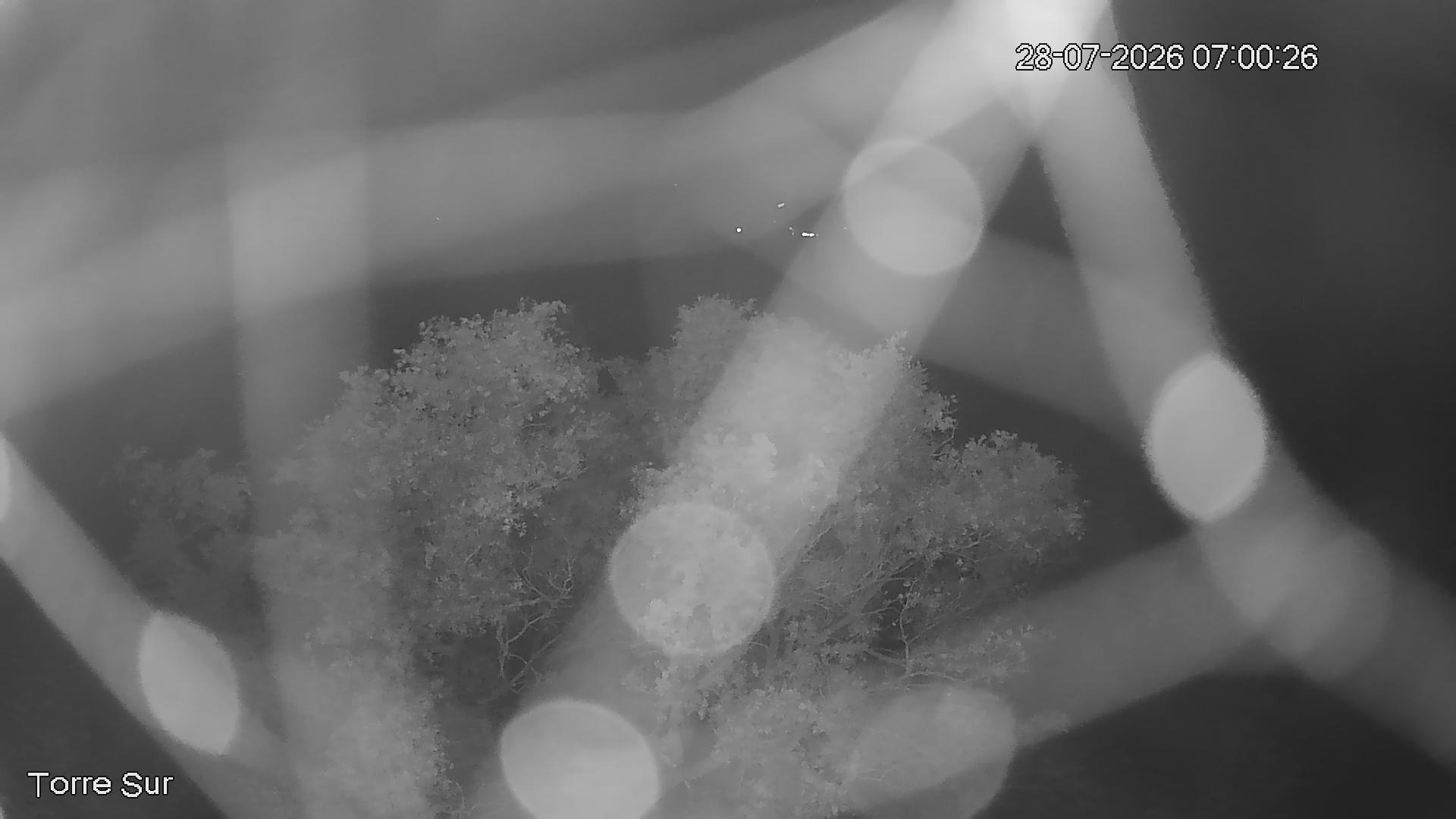 NVR_ch3_20260728070026_T.jpg