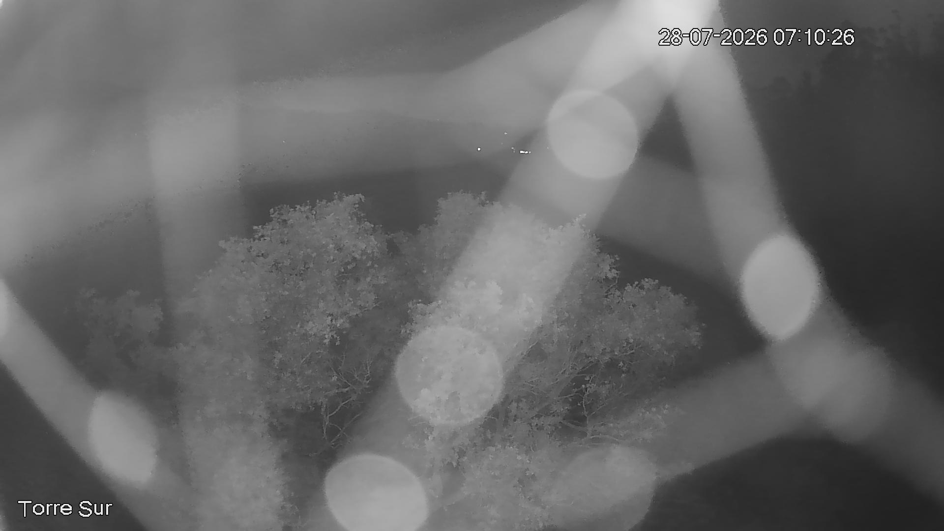 NVR_ch3_20260728071027_T.jpg